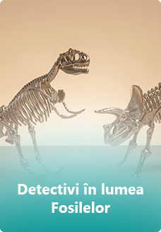 lumeacopiilor